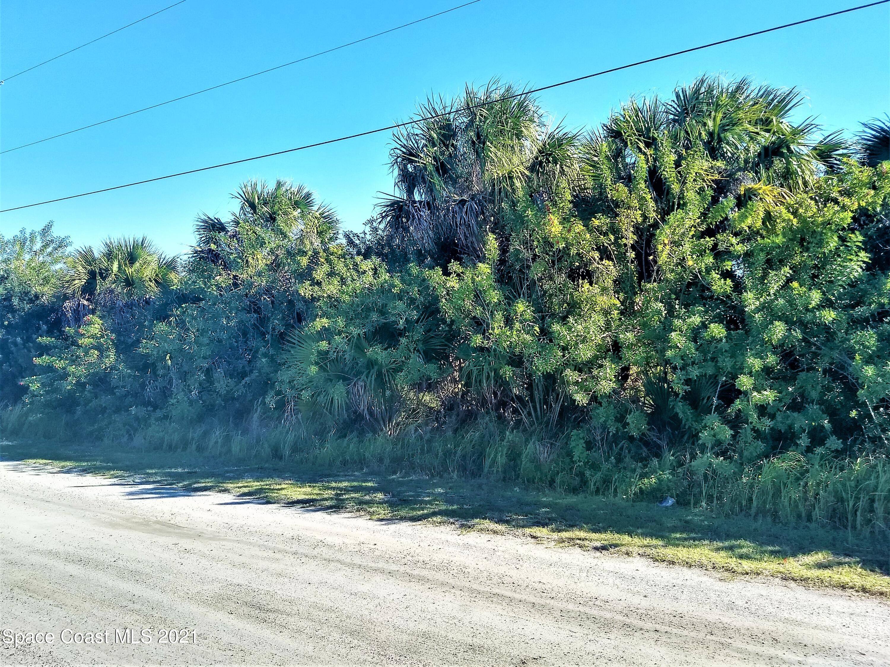 2123 Begonia Avenue SW Palm Bay FL 32908