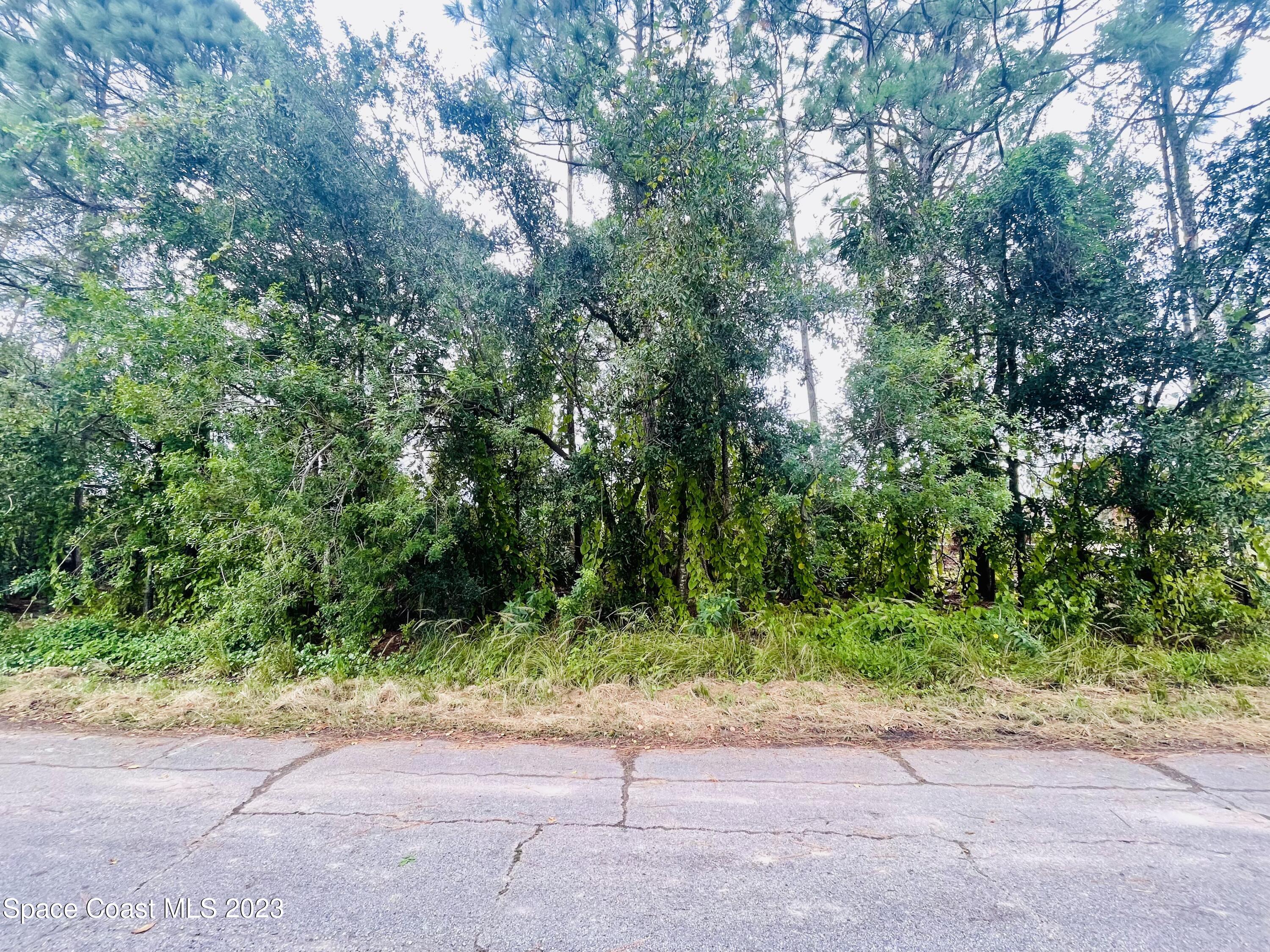 1643 Saipan Street SE Palm Bay FL 32909