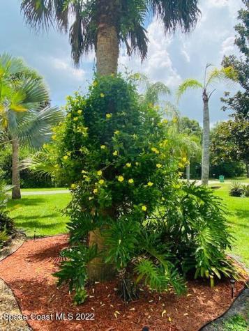 3246 Erica Street Cocoa FL 32926