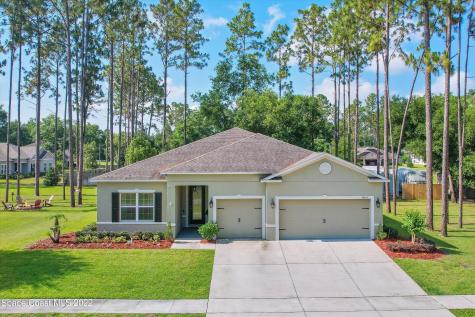 30405 Plymouth Creek Circle Sorrento FL 32776