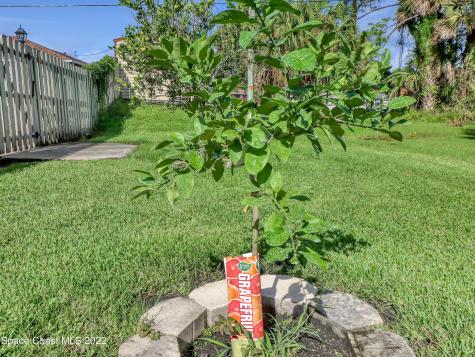 416 Catalina Avenue NW Palm Bay FL 32907