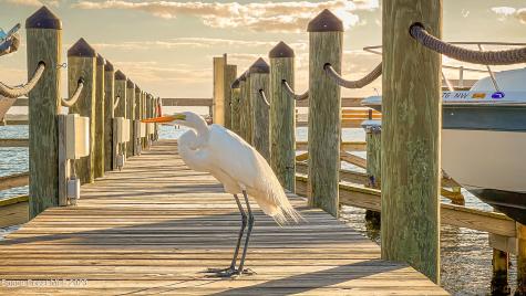 5526 Cord Grass Lane Melbourne Beach FL 32951