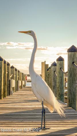 5526 Cord Grass Lane Melbourne Beach FL 32951