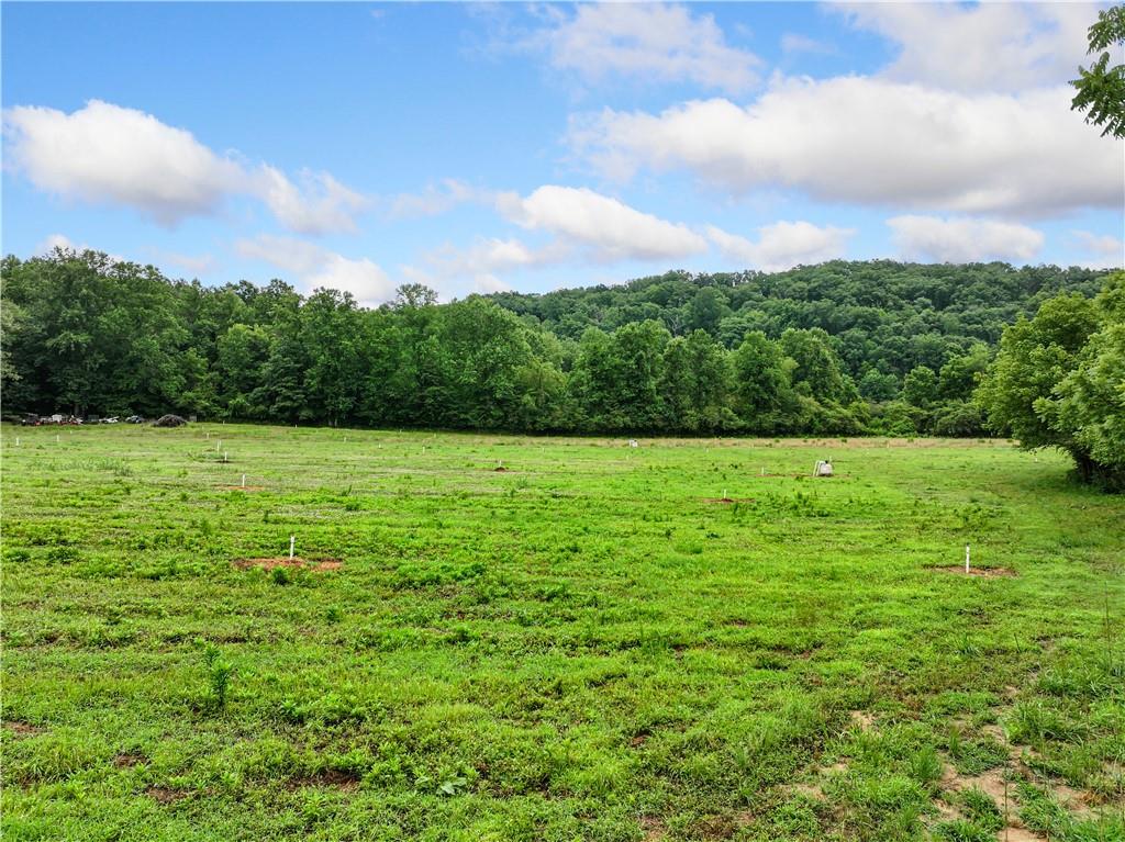 2772 Highway 19 N Dahlonega GA 30533