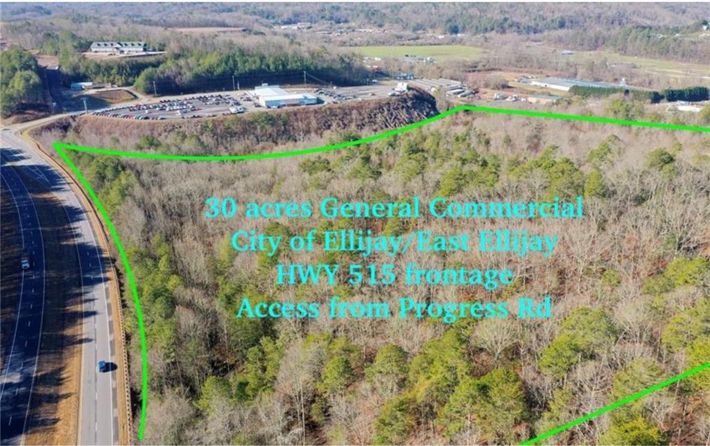 944 Progress Road East Ellijay GA 30540