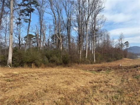 0 Hulsey Road Cleveland GA 30528