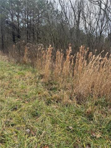 0 Ball Ground Highway Ball Ground GA 30107