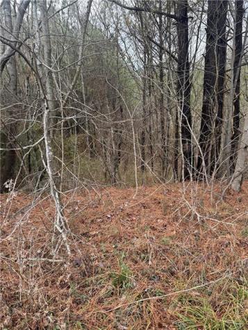 0 Ball Ground Highway Ball Ground GA 30107