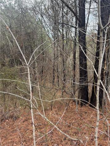 0 Ball Ground Highway Ball Ground GA 30107