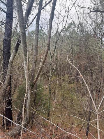 0 Ball Ground Highway Ball Ground GA 30107