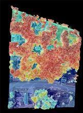 3060 Holly Springs Parkway Canton GA 30115