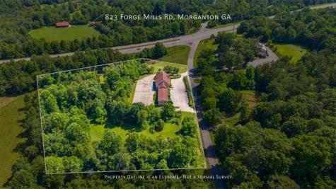 823 Forge Mill Morganton GA 30560
