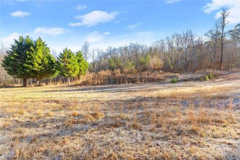 0 Dixon Drive Cleveland GA 30528