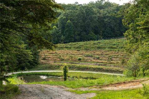 9975 Ball Ground Highway Ball Ground GA 30107