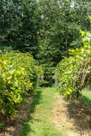 9975 Ball Ground Highway Ball Ground GA 30107