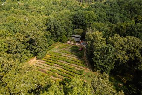 9975 Ball Ground Highway Ball Ground GA 30107