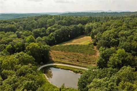 9975 Ball Ground Highway Ball Ground GA 30107