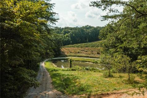 9975 Ball Ground Highway Ball Ground GA 30107