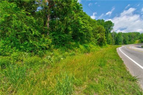 6439 S Chestatee Street Dahlonega GA 30533