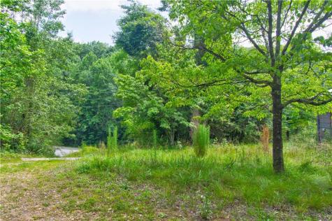 6439 S Chestatee Street Dahlonega GA 30533