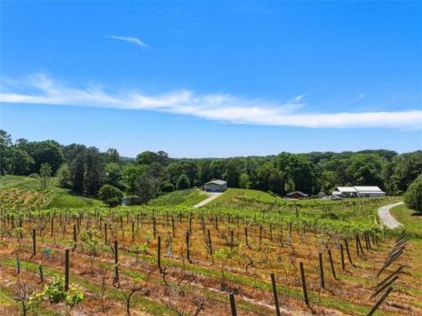 2317 Highway 382 Ellijay GA 30540