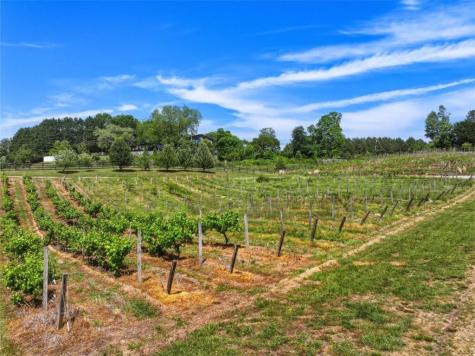 2317 Highway 382 Ellijay GA 30540