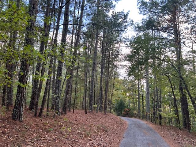 100 Valley View Drive NW Cartersville GA 30121