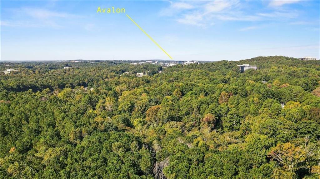 1205 Whitestone Ridge Alpharetta GA 30005