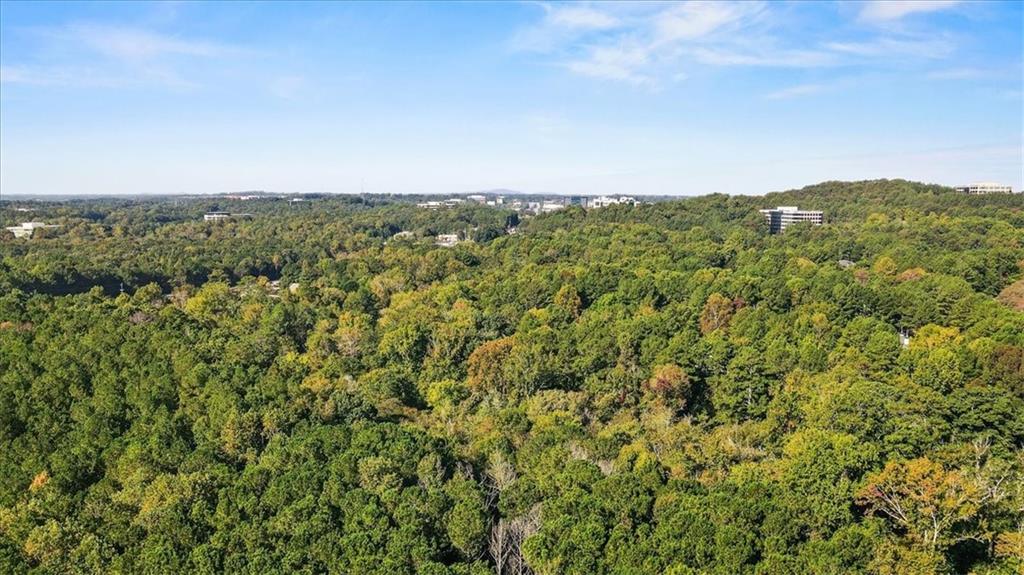 1205 Whitestone Ridge Alpharetta GA 30005