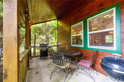 76 River Forest Place Suches GA 30572