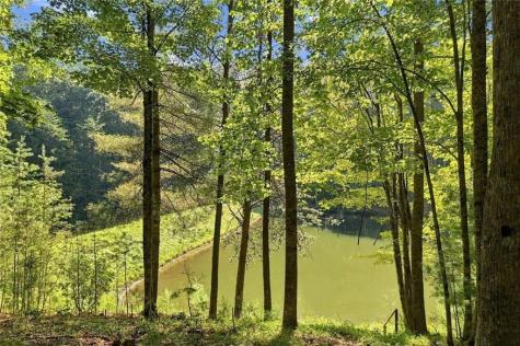 96 Clubhouse Court Ellijay GA 30536