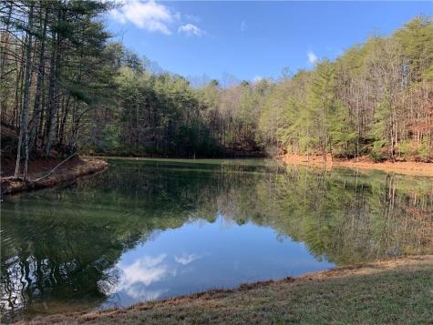96 Clubhouse Court Ellijay GA 30536