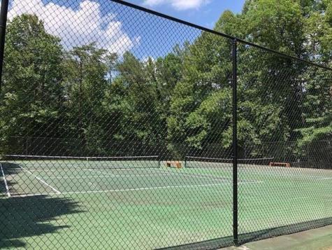 96 Clubhouse Court Ellijay GA 30536
