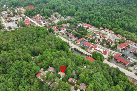 390 Alpenrosen Strasse Helen GA 30545