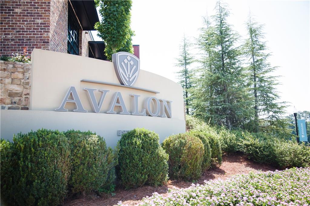 345 Crimson Pine Alley Alpharetta GA 30009