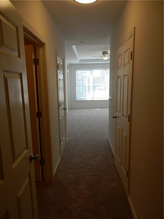 3334 Peachtree Road NE Atlanta GA 30326
