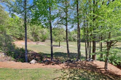 146 Gleneagle Court Clayton GA 30525