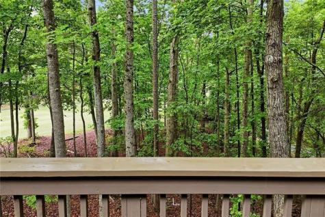 236 Chestnut Rise Trail Big Canoe GA 30143