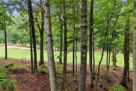 236 Chestnut Rise Trail Big Canoe GA 30143