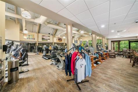 236 Chestnut Rise Trail Big Canoe GA 30143