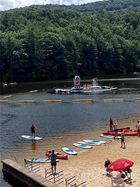 236 Chestnut Rise Trail Big Canoe GA 30143