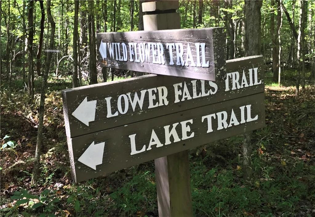 236 Chestnut Rise Trail Big Canoe GA 30143