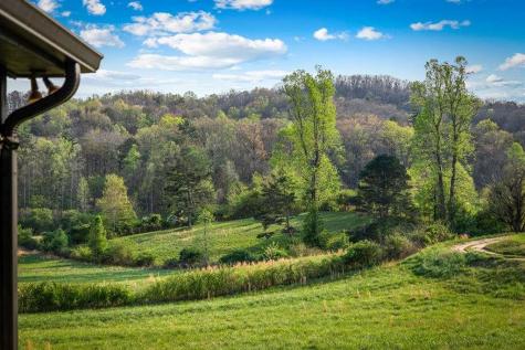 384 Maxwell Road Blue Ridge GA 30513