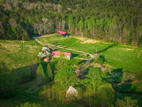 384 Maxwell Road Blue Ridge GA 30513