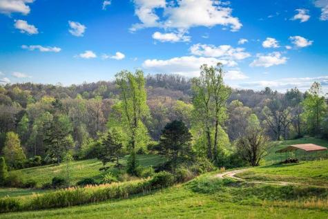 384 Maxwell Road Blue Ridge GA 30513