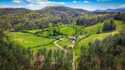 384 Maxwell Road Blue Ridge GA 30513
