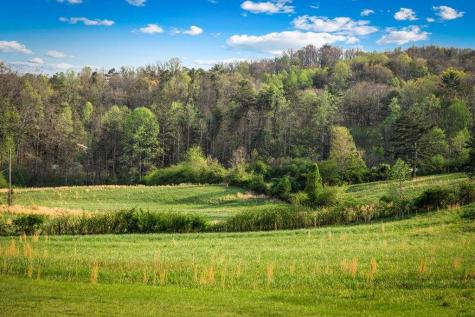384 Maxwell Road Blue Ridge GA 30513