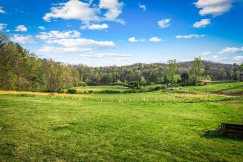 384 Maxwell Road Blue Ridge GA 30513