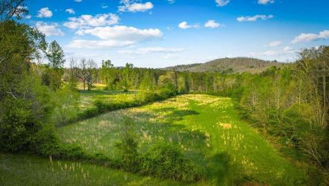 384 Maxwell Road Blue Ridge GA 30513