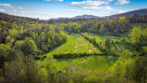 384 Maxwell Road Blue Ridge GA 30513